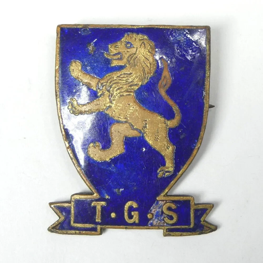TGS Takapuna Grammar School New Zealand Lion Shield Pin Blue Enamel Vintage